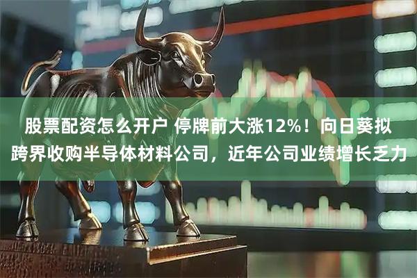 股票配资怎么开户 停牌前大涨12%！向日葵拟跨界收购半导体材料公司，近年公司业绩增长乏力