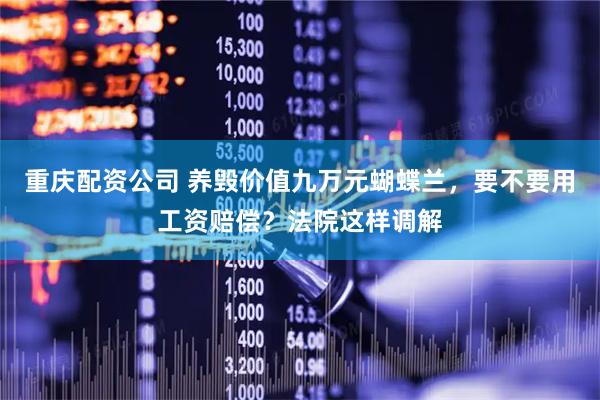 重庆配资公司 养毁价值九万元蝴蝶兰，要不要用工资赔偿？法院这样调解